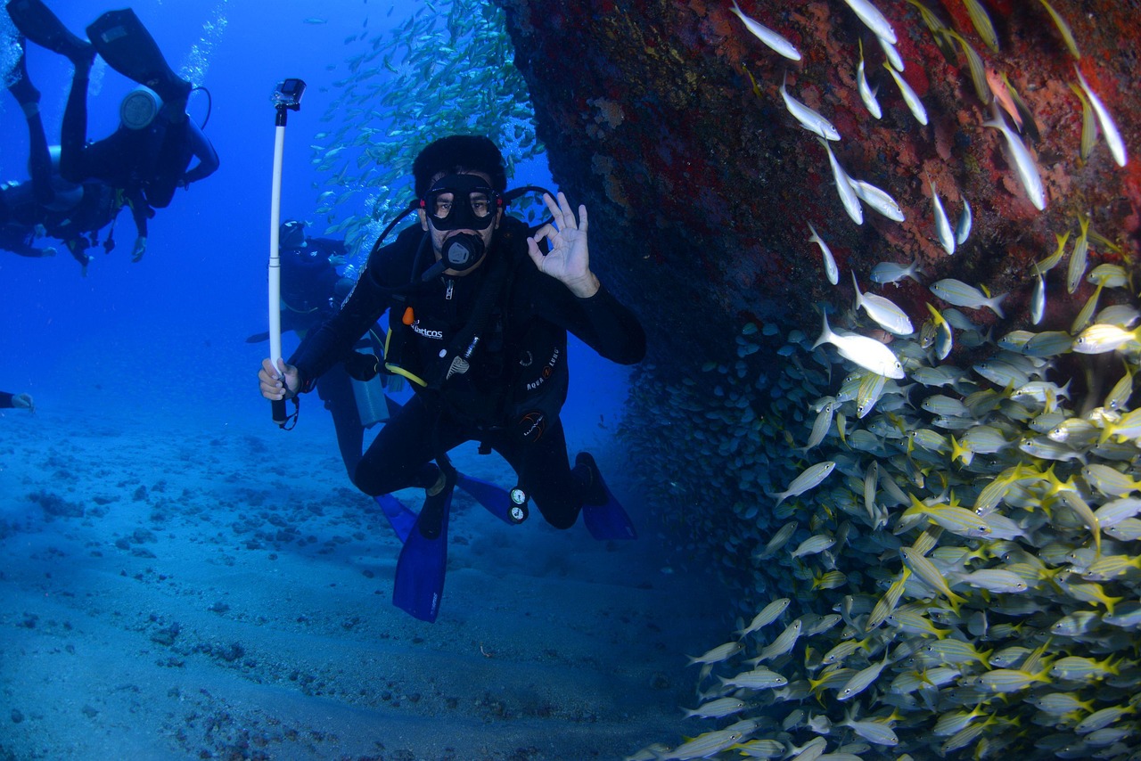 dive-1849534_1280